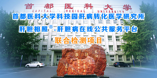 项目.jpg