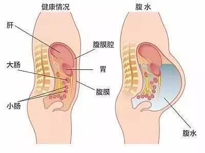 微信图片_20171120111318.jpg