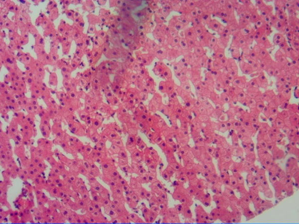 1516066329350048818.jpg 图片1.jpg