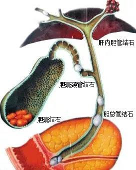 微信图片_20181116085953_副本.jpg