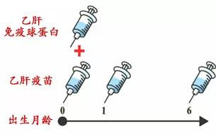 微信图片_20190429114516.jpg