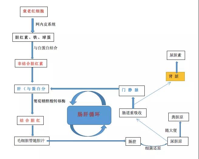 微信图片_20191018094038.jpg