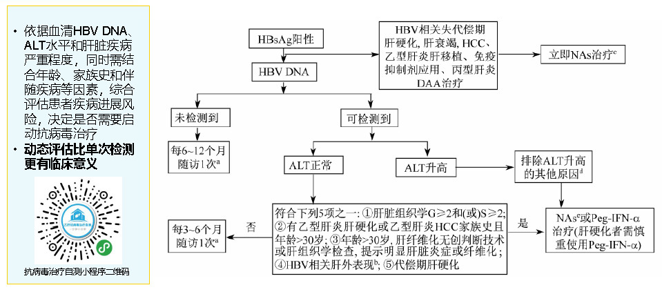 积极治疗 优选方案 更多获益 中国慢乙肝防治指南 2019年版 更新要点解析