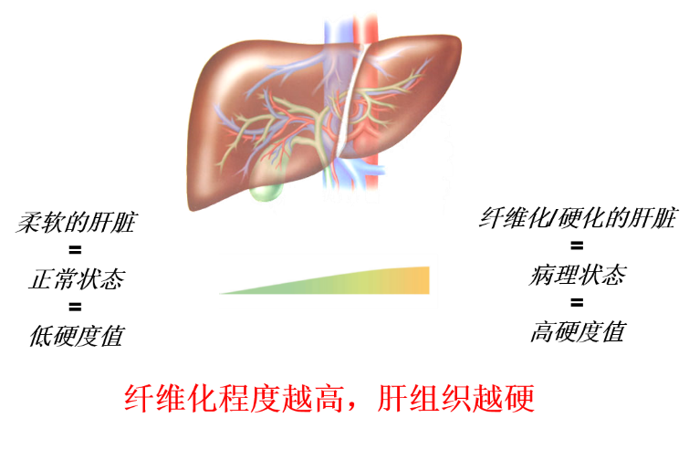 微信图片_20211012090954.png