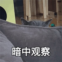 1e1a8c8cc9601e7ac5496e57dcac8f39.jpg