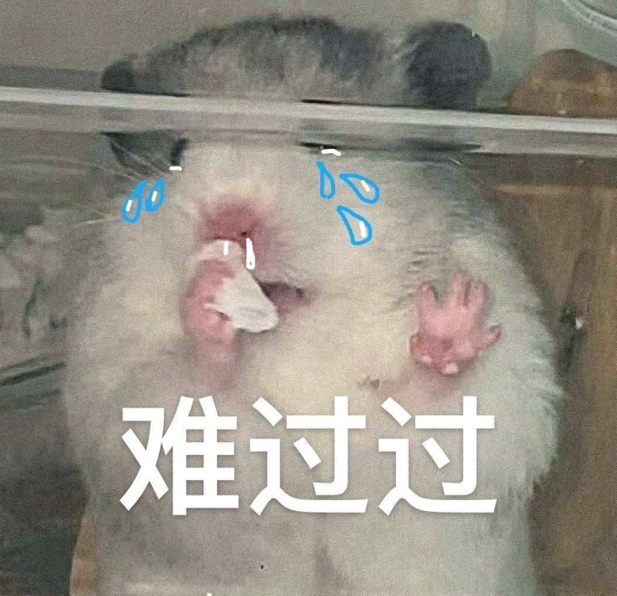 c50ba2054da5162678557dc58f1bf6ea.png