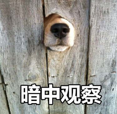 5d56b35627d87423db5c420fada99557.png